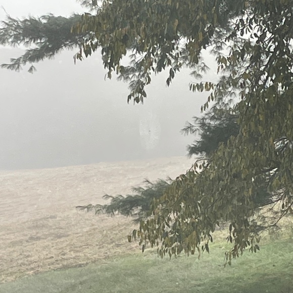 Test - Picture 1 of 1